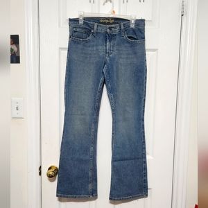 American Eagle Flare Jean